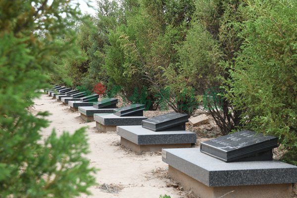 云顶集团(中国区)官方网站