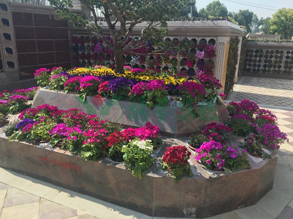 云顶集团(中国区)官方网站