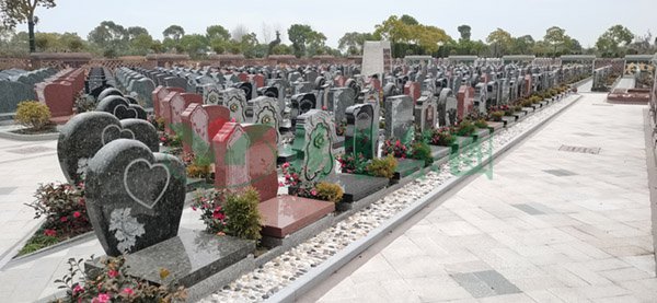 云顶集团(中国区)官方网站