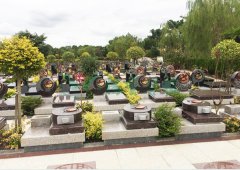 上；懔靶腔鹎