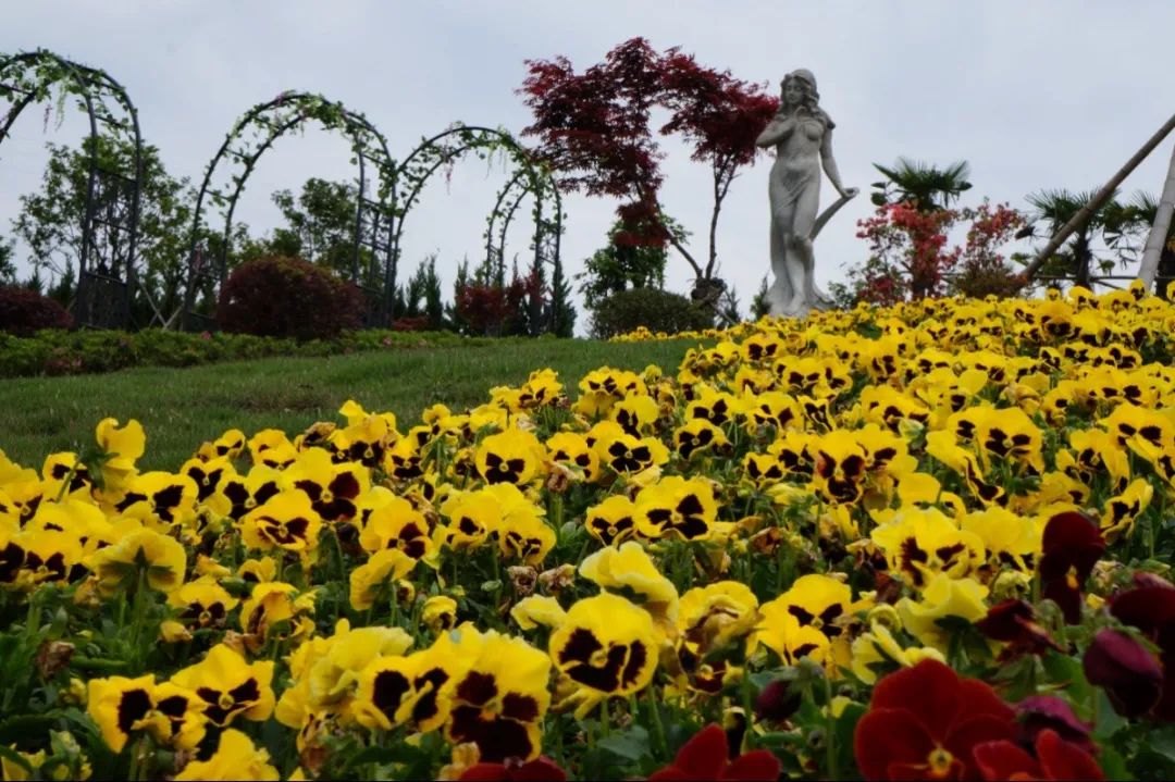 云顶集团(中国区)官方网站