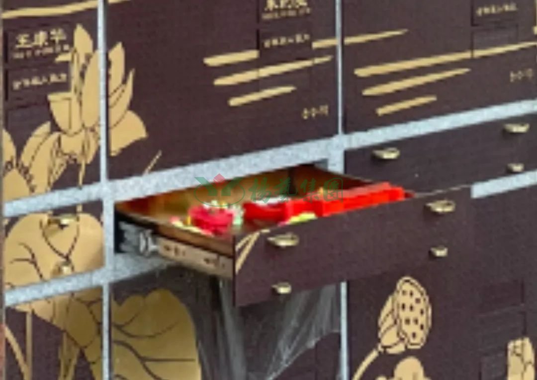 云顶集团(中国区)官方网站