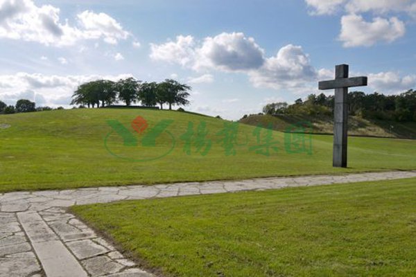 云顶集团(中国区)官方网站