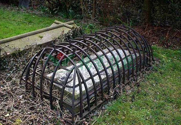 云顶集团(中国区)官方网站