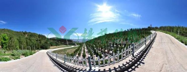 云顶集团(中国区)官方网站