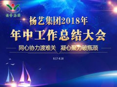 云顶集团集团2018年中总结报告（摘要）