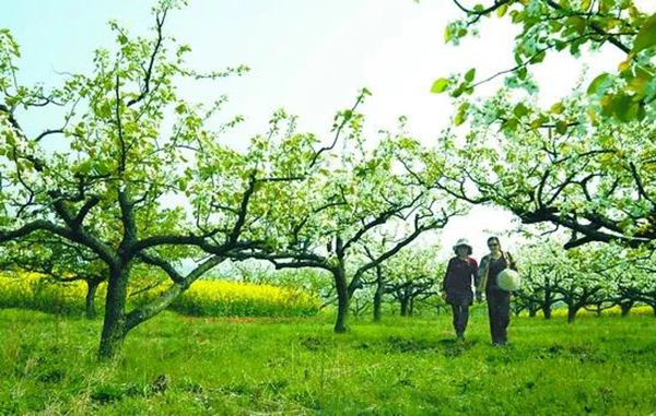 云顶集团(中国区)官方网站