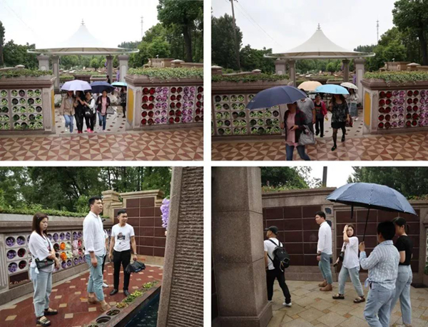 云顶集团(中国区)官方网站