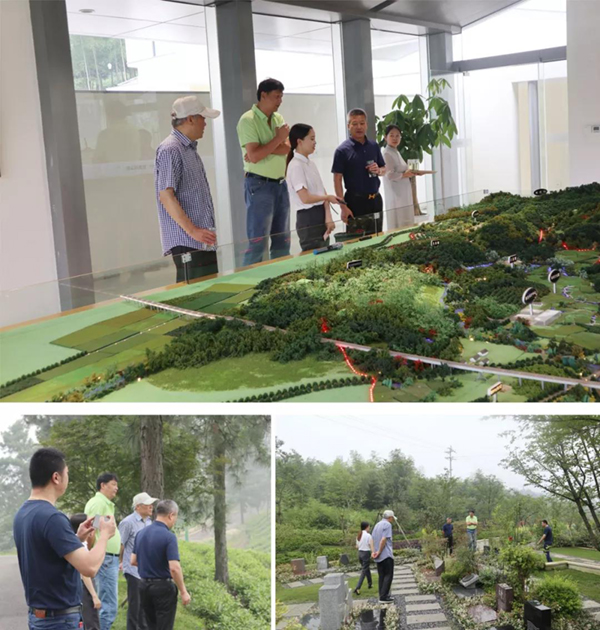 云顶集团(中国区)官方网站