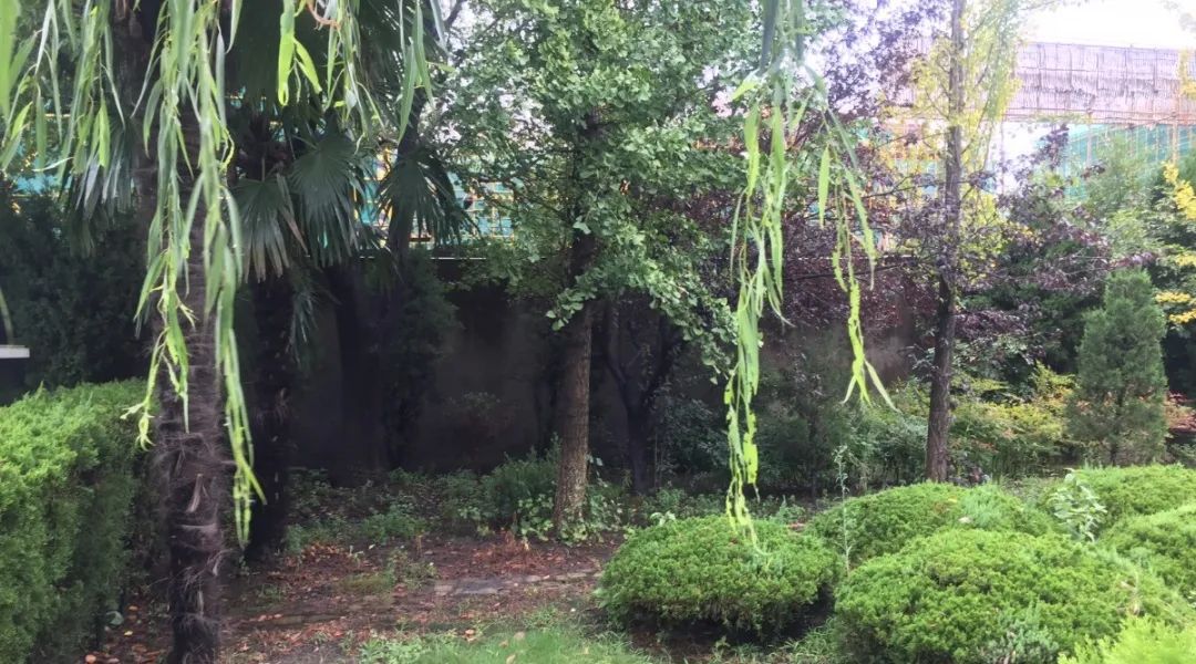 云顶集团(中国区)官方网站