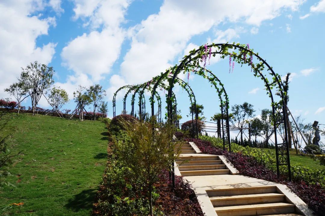 云顶集团(中国区)官方网站