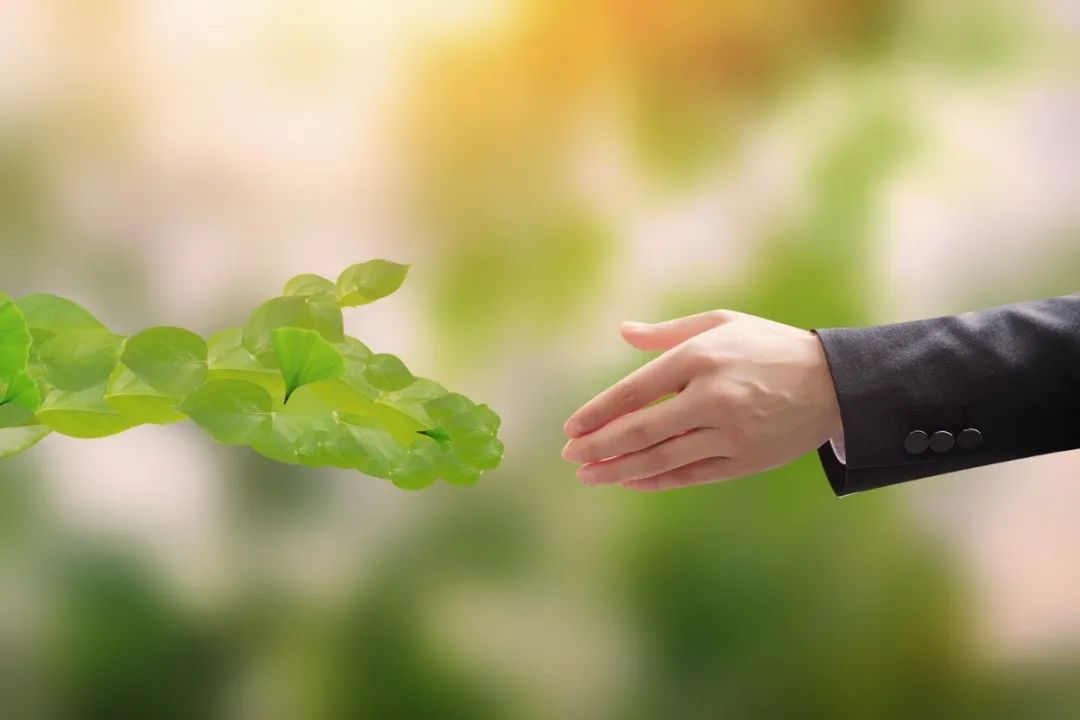 云顶集团(中国区)官方网站