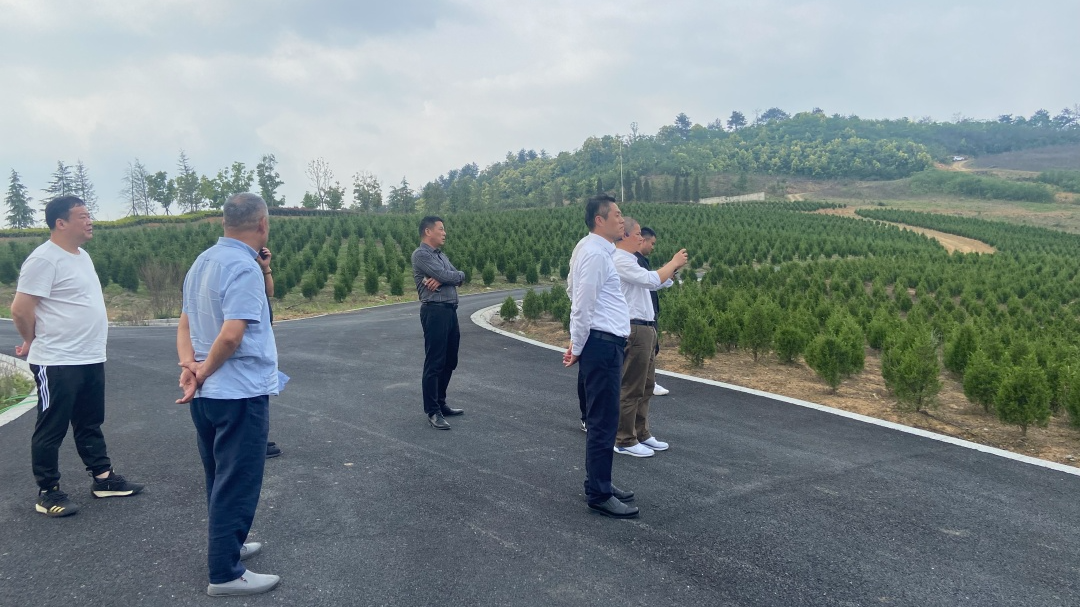 云顶集团(中国区)官方网站