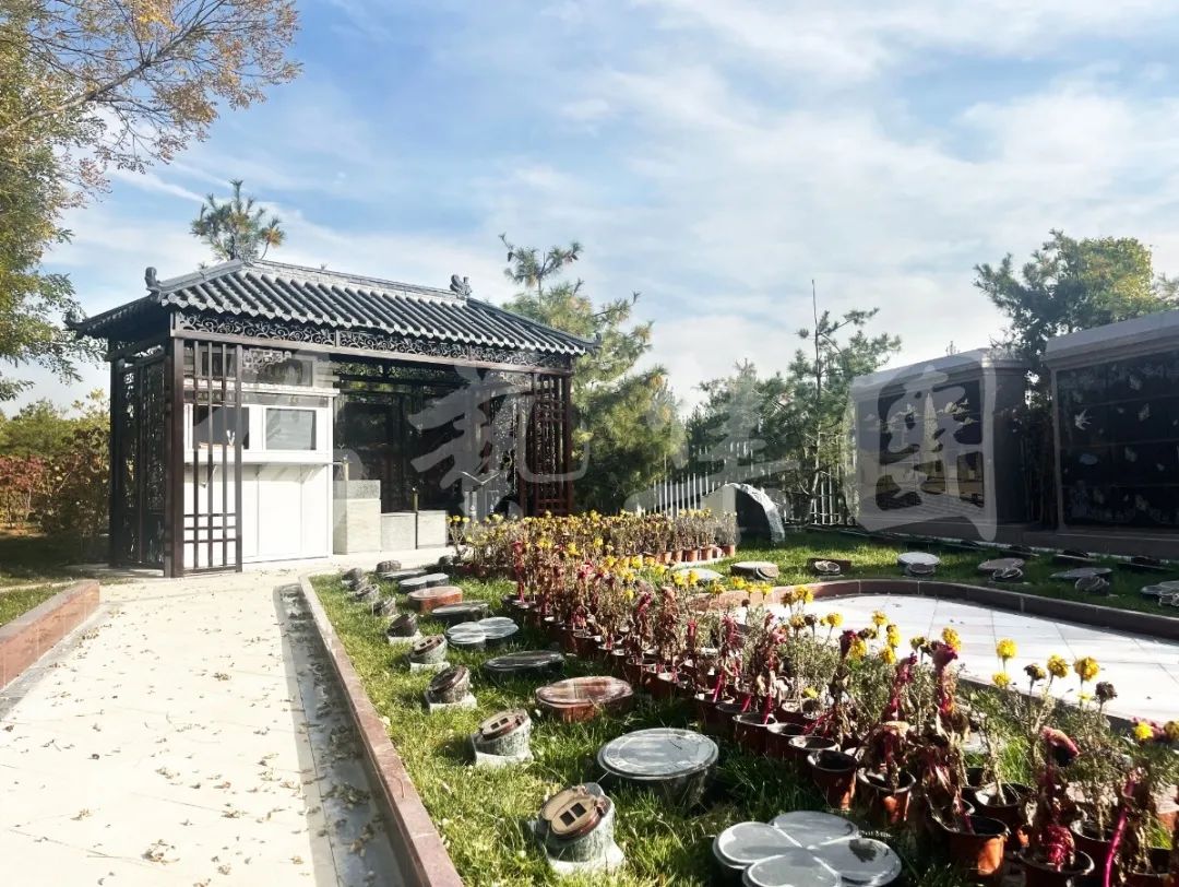 云顶集团(中国区)官方网站