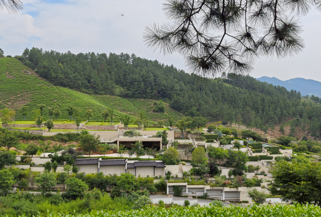 云顶集团(中国区)官方网站