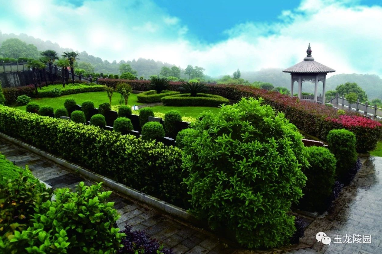 云顶集团(中国区)官方网站