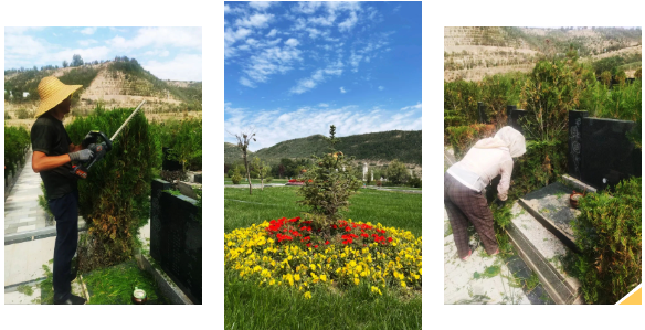 云顶集团(中国区)官方网站