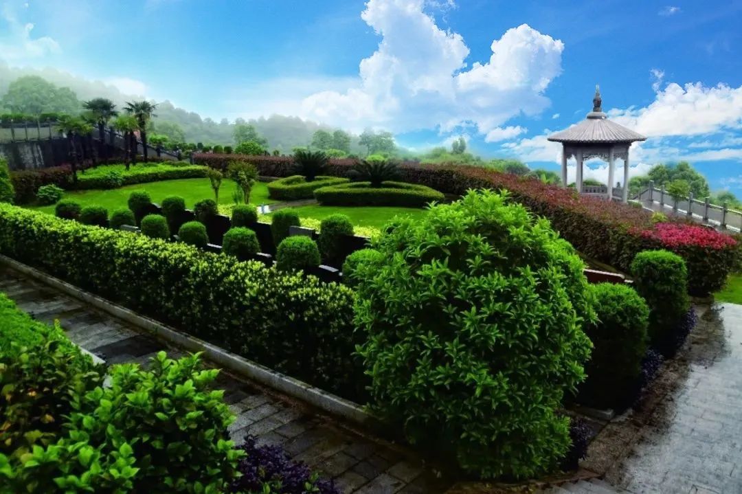 云顶集团(中国区)官方网站