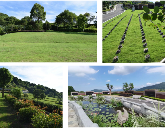 云顶集团(中国区)官方网站