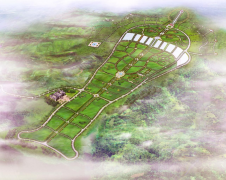 云顶集团集团：公墓投资的践行者，谋划治理的行家