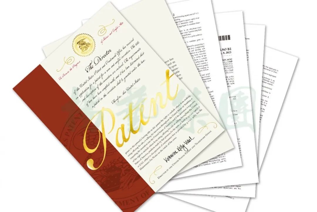 云顶集团(中国区)官方网站