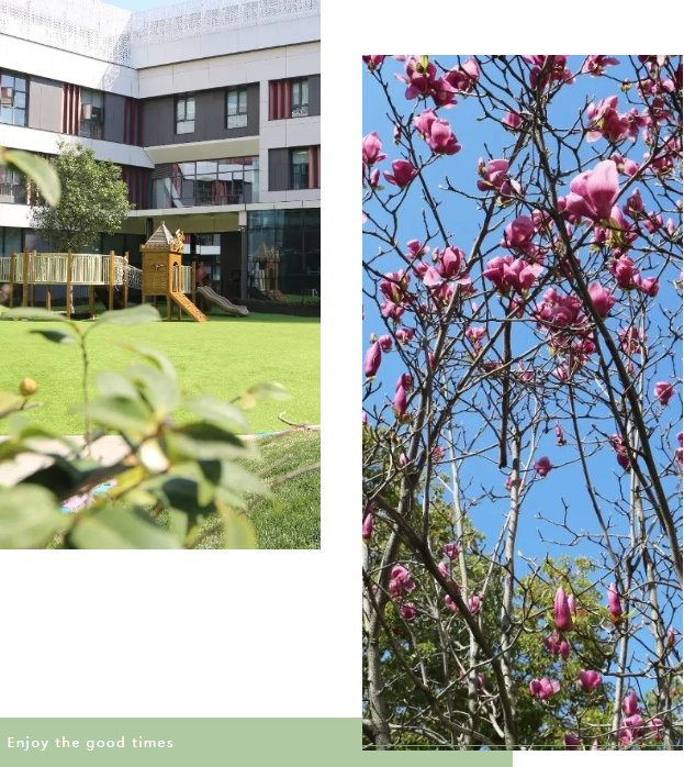 云顶集团(中国区)官方网站