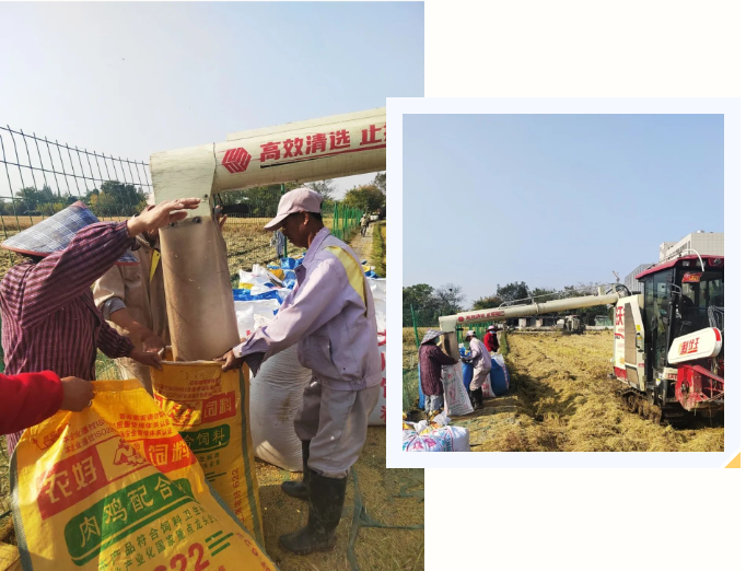 云顶集团(中国区)官方网站