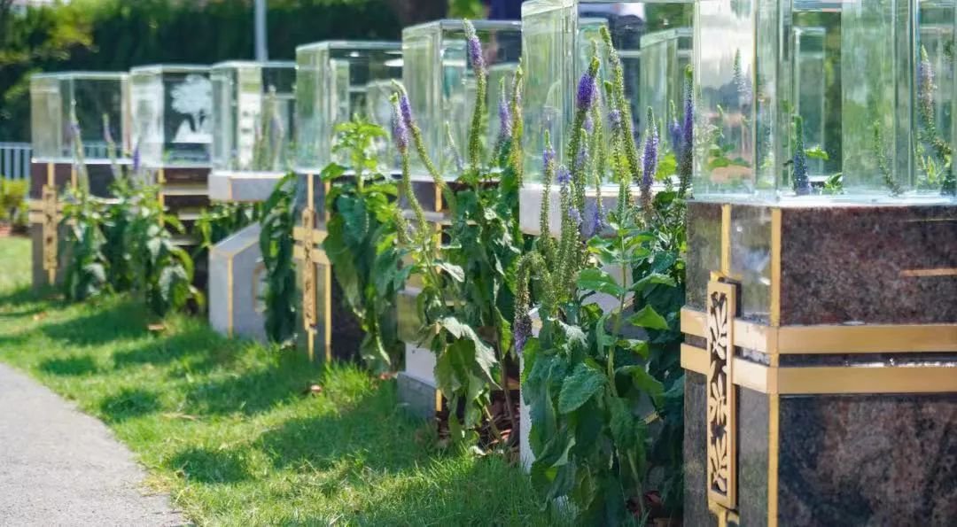 云顶集团(中国区)官方网站