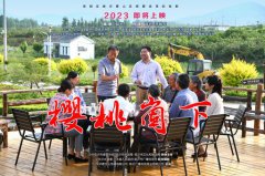 《樱桃崮下》给云顶集团的启发