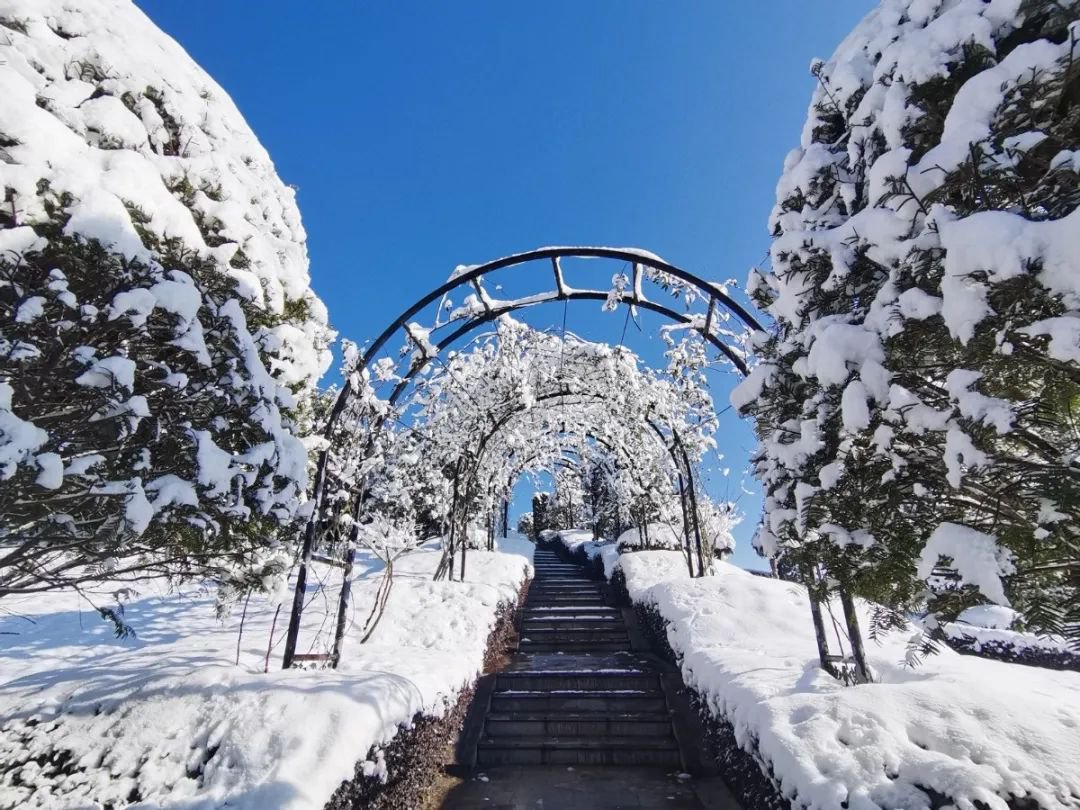 云顶集团(中国区)官方网站