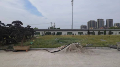 老墓园微刷新，助力都会人文眷注