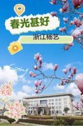 春分之韵|云顶集团邀您共享春光