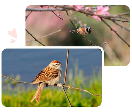 云顶集团(中国区)官方网站