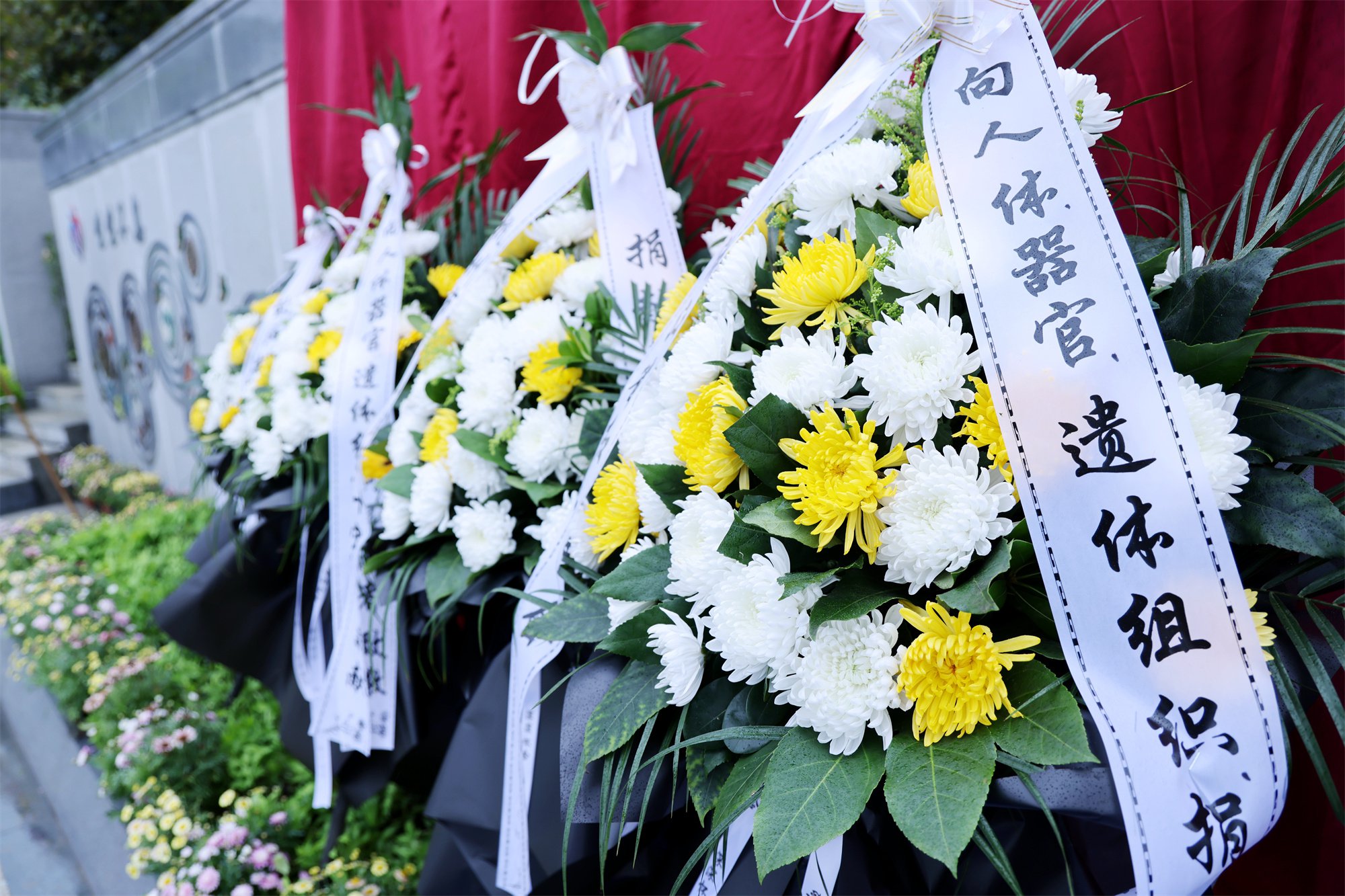 云顶集团(中国区)官方网站