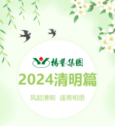 风起清明 遥寄相思|云顶集团集团?2024清明篇