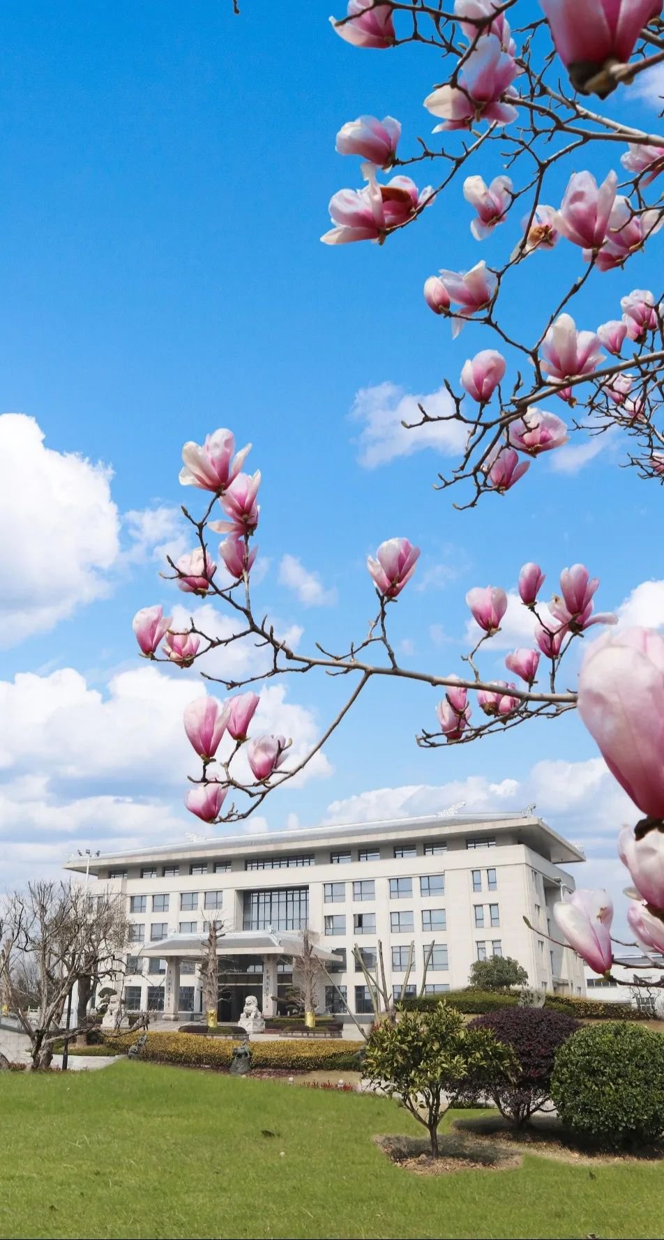 云顶集团(中国区)官方网站