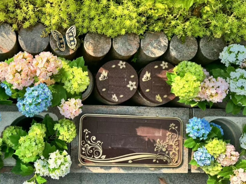 云顶集团(中国区)官方网站