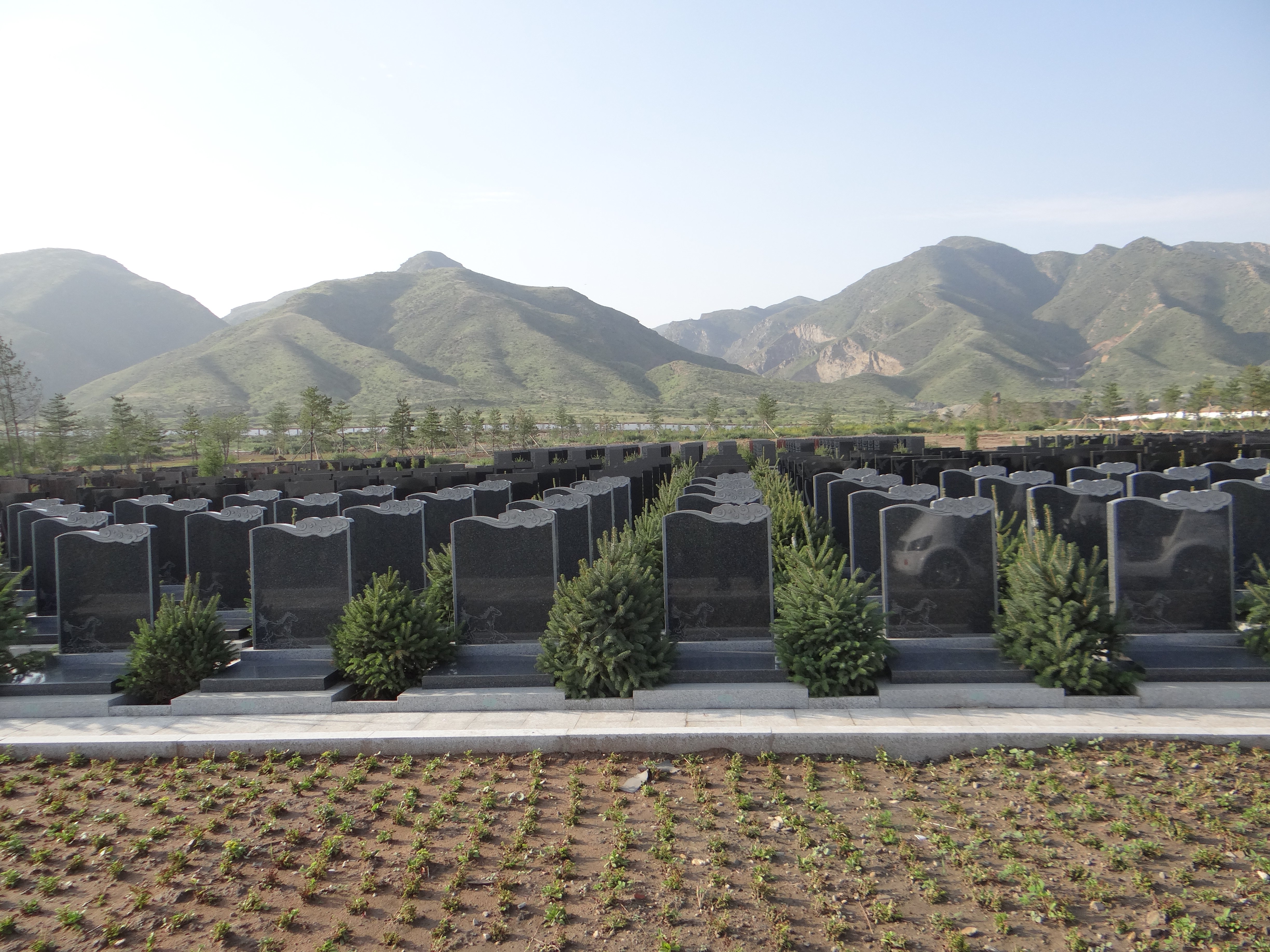 云顶集团(中国区)官方网站