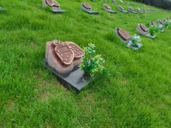 云顶集团(中国区)官方网站