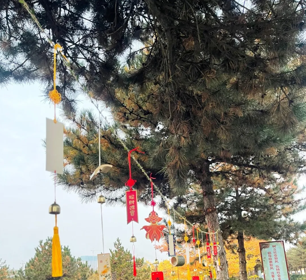 云顶集团(中国区)官方网站