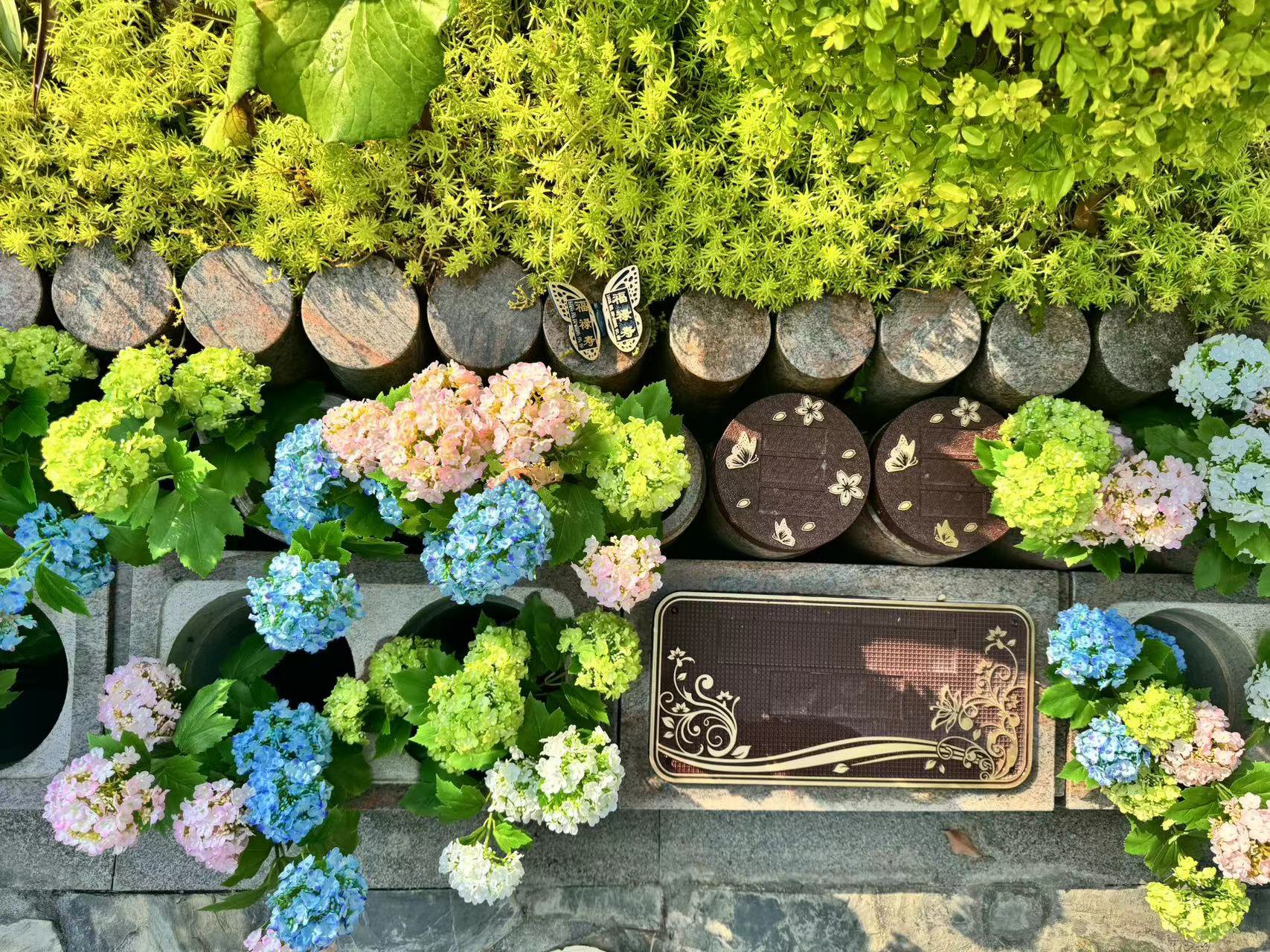 云顶集团(中国区)官方网站