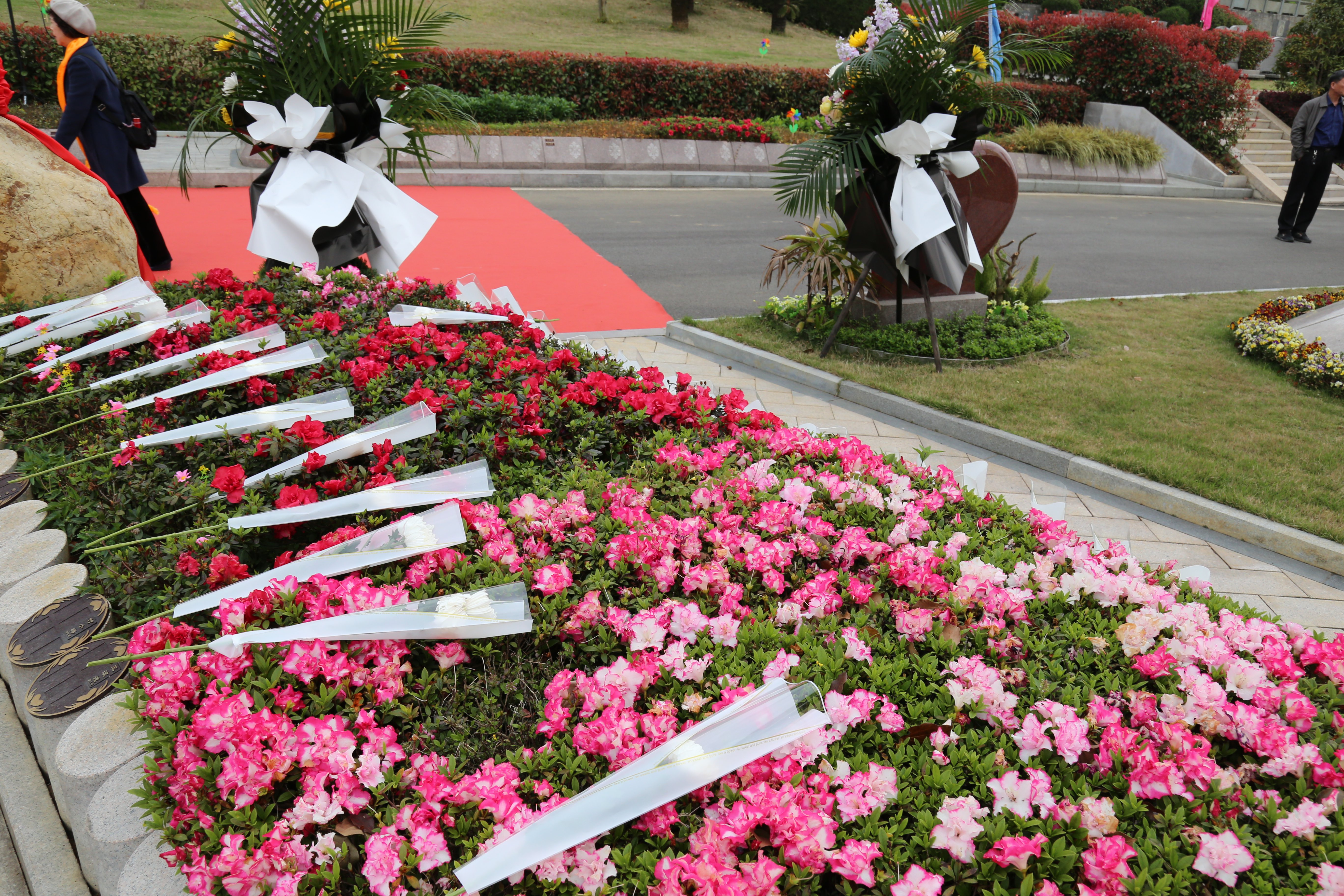 云顶集团(中国区)官方网站