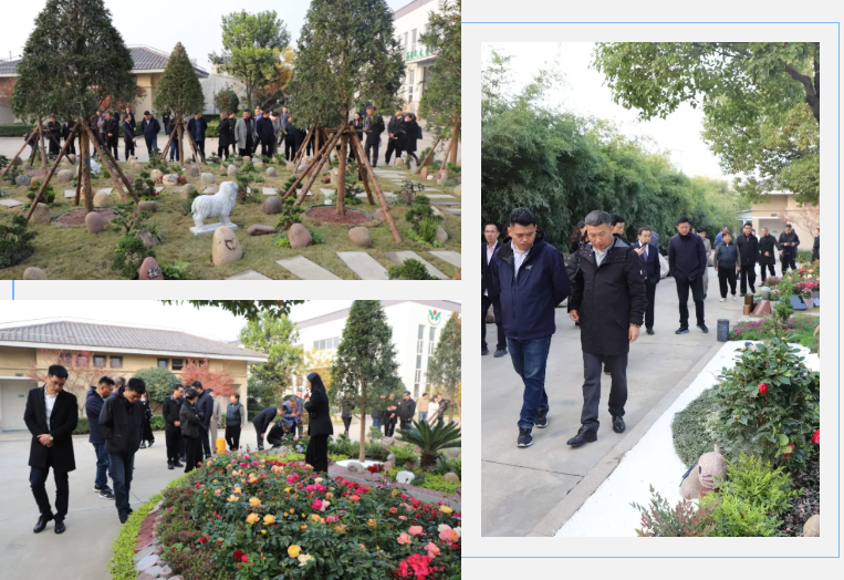 云顶集团(中国区)官方网站