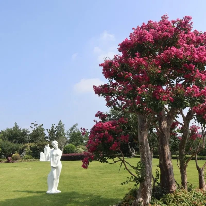 云顶集团(中国区)官方网站