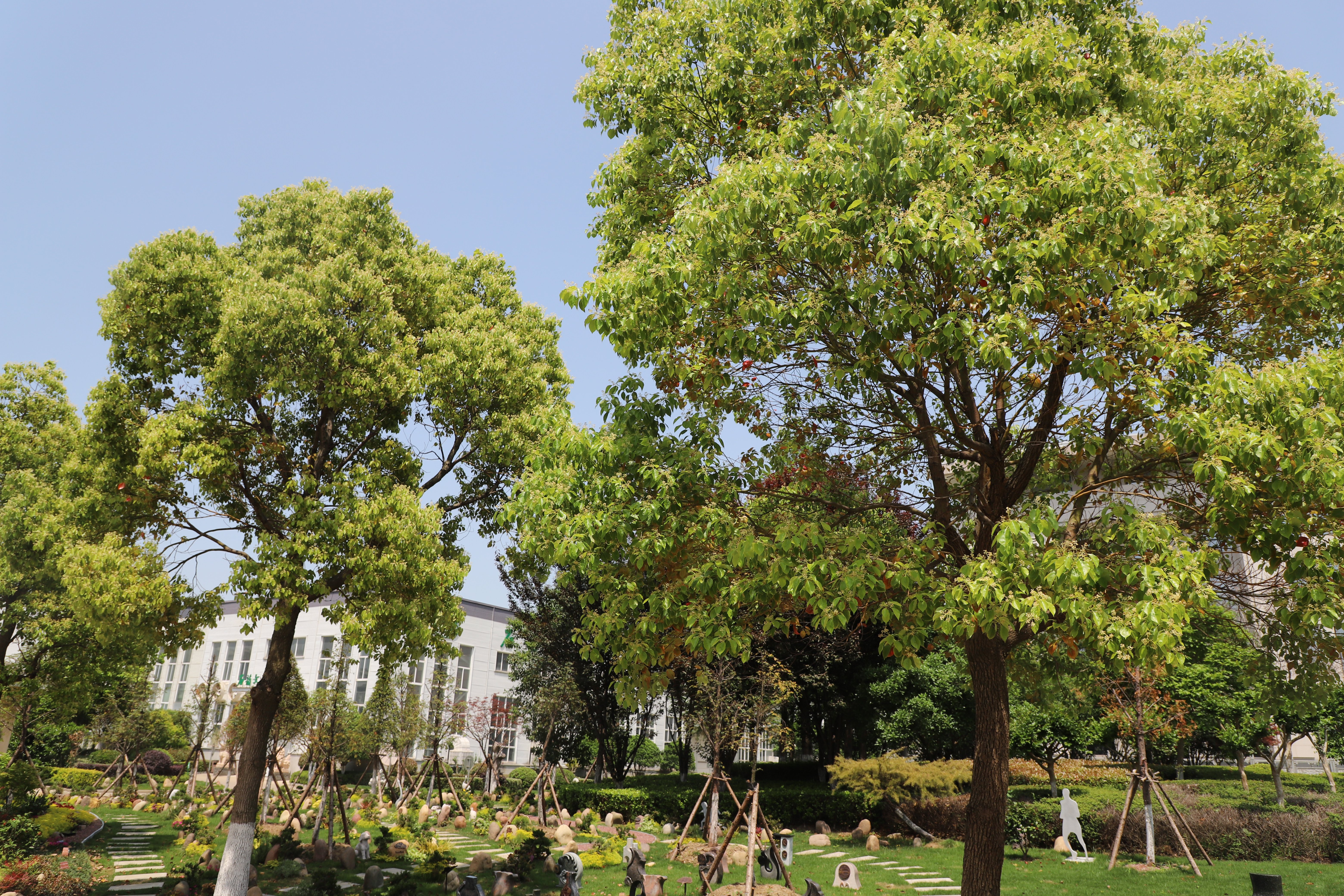 云顶集团(中国区)官方网站