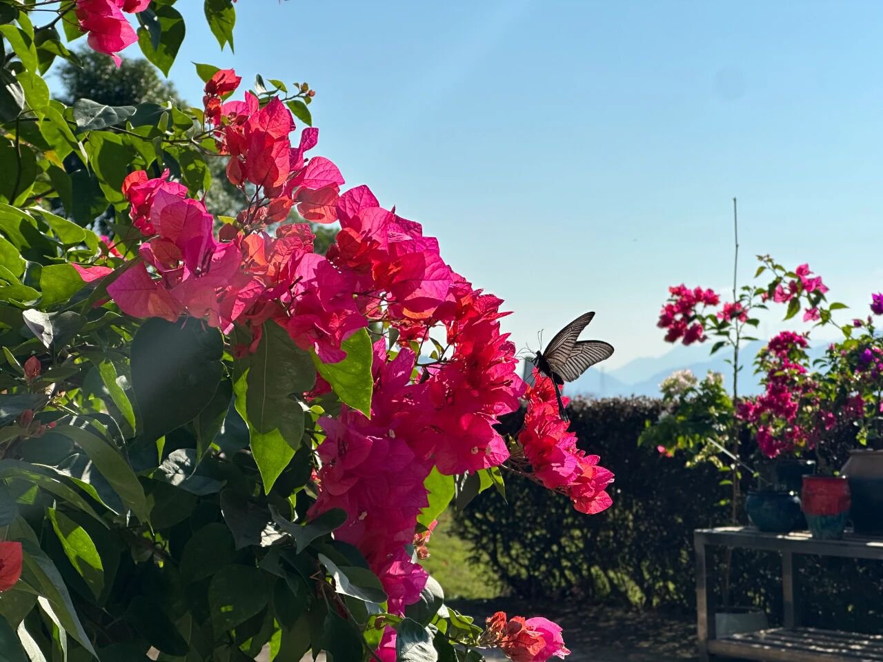 云顶集团(中国区)官方网站