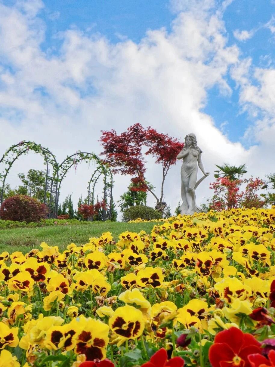 云顶集团(中国区)官方网站