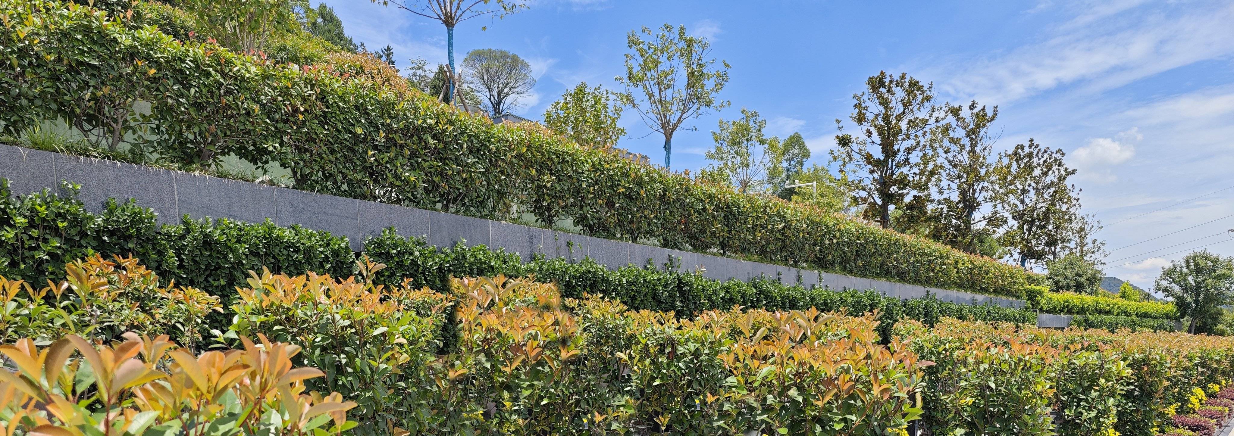 云顶集团(中国区)官方网站