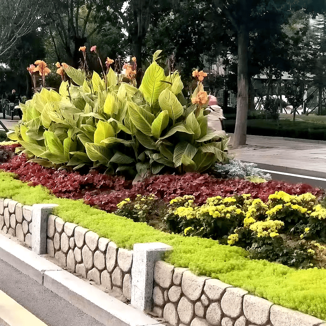 云顶集团(中国区)官方网站