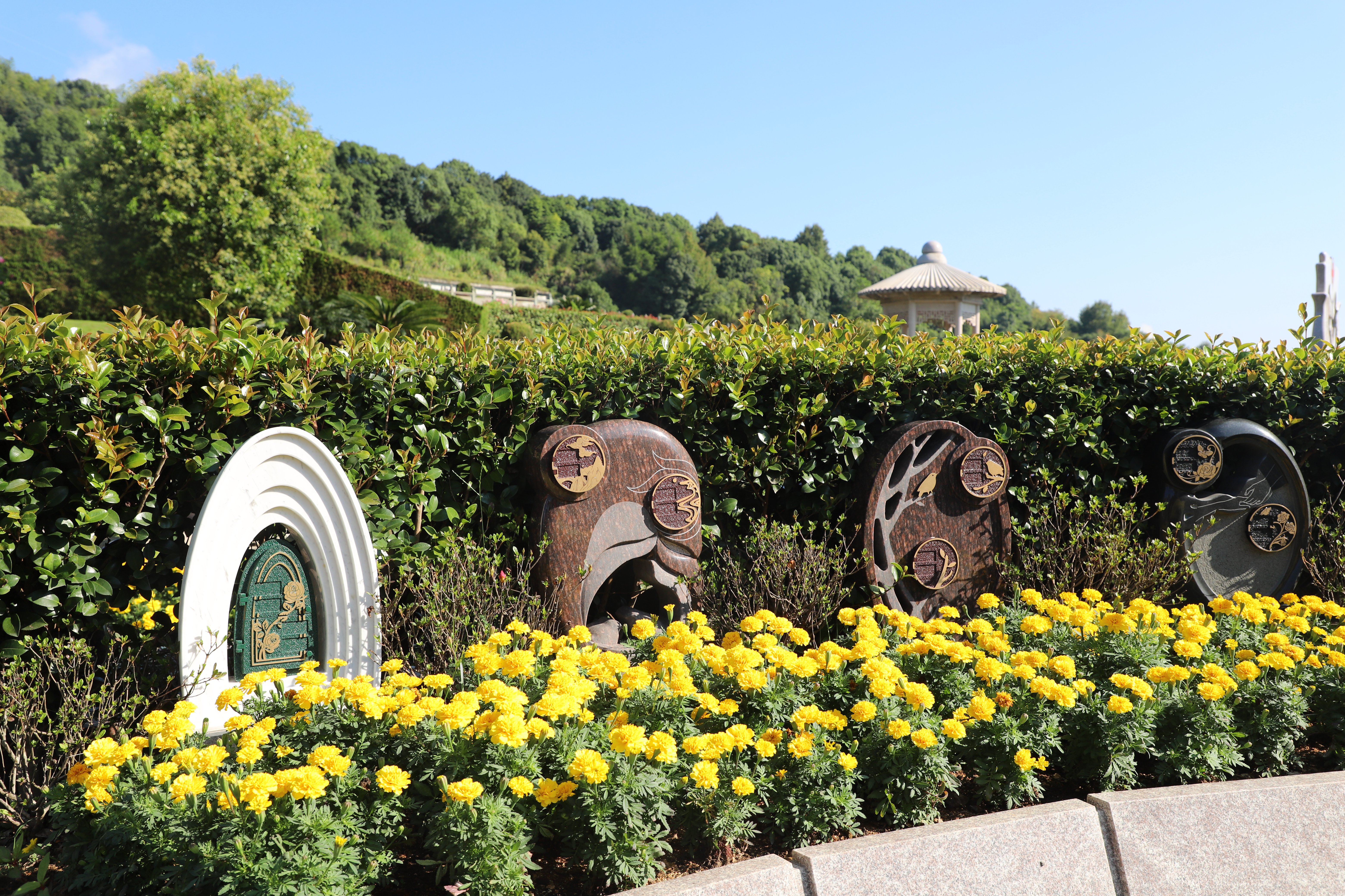 云顶集团(中国区)官方网站